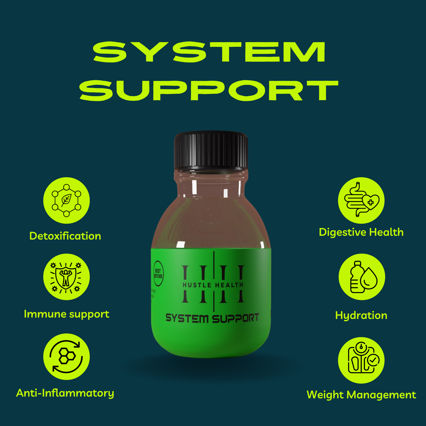 Hustle Health System Support